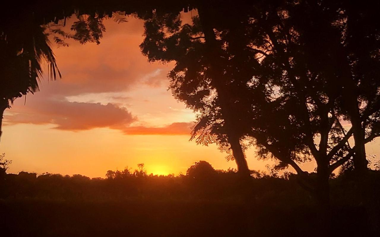 Diani Beach-Villa Kirsch Galu エクステリア 写真